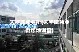 大学城商业街(大学城商业街市场调查)