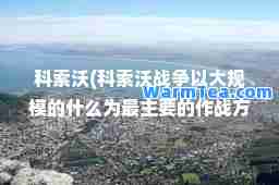 科索沃(科索沃战争以大规模的什么为最主要的作战方式)