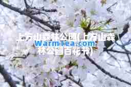 上方山森林公园(上方山森林公园百花节)