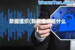 数据组织(数据组织是什么)