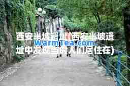 西安半坡遗址(西安半坡遗址中发现当时人们居住在)