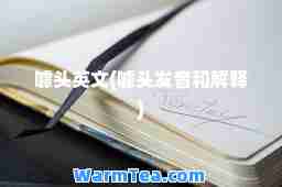 噱头英文(噱头发音和解释)