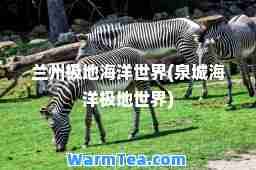 兰州极地海洋世界(泉城海洋极地世界)