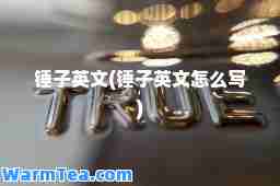锤子英文(锤子英文怎么写)