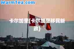 卡尔加里(卡尔加里新政)