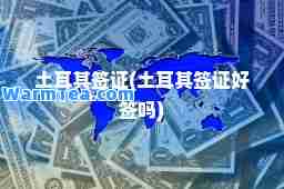 土耳其签证(土耳其签证好签吗)