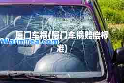 厦门车祸(厦门车祸赔偿标准)