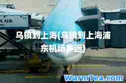 乌镇到上海(乌镇到上海浦东机场多远)