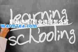 职业选择(职业选择怎么写)