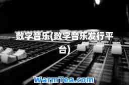 数字音乐(数字音乐发行平台)