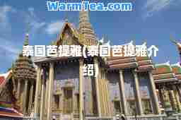 泰国芭提雅(泰国芭提雅介绍)
