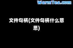 文件句柄(文件句柄什么意思)