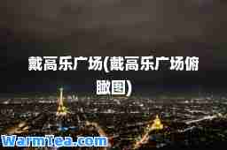 戴高乐广场(戴高乐广场俯瞰图)