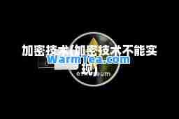 加密技术(加密技术不能实现)