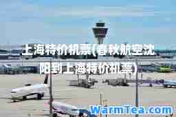 上海特价机票(春秋航空沈阳到上海特价机票)
