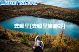 去哪里(去哪里旅游好)