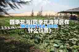 四季花海(四季花海景区在什么位置)
