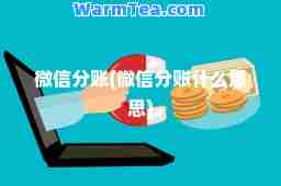 微信分账(微信分账什么意思)