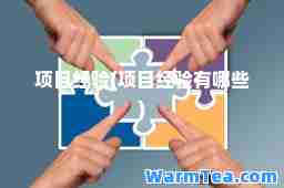 项目经验(项目经验有哪些)