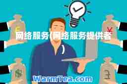网络服务(网络服务提供者)