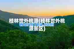 桂林世外桃源(桂林世外桃源景区)