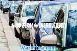 车牌识别(车牌识别道闸)