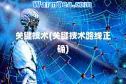 关键技术(关键技术路线正确)