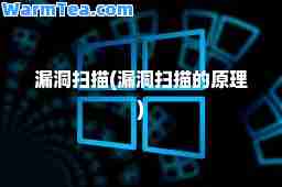 漏洞扫描(漏洞扫描的原理)