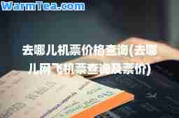 去哪儿机票价格查询(去哪儿网飞机票查询及票价)
