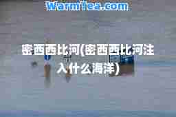 密西西比河(密西西比河注入什么海洋)