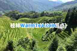 桂林 旅游(桂林旅游景点)