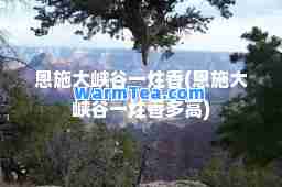 恩施大峡谷一炷香(恩施大峡谷一炷香多高)