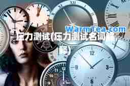 压力测试(压力测试名词解释)