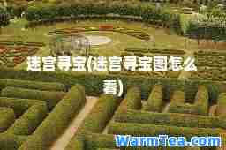 迷宫寻宝(迷宫寻宝图怎么看)