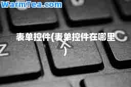 表单控件(表单控件在哪里)