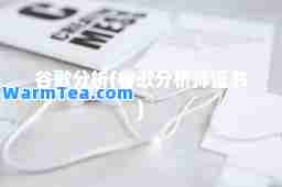谷歌分析(谷歌分析师证书)