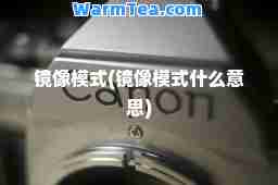 镜像模式(镜像模式什么意思)