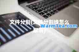 文件分割(文件分割线怎么取消)