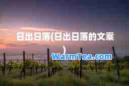 日出日落(日出日落的文案)