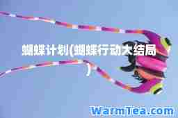 蝴蝶计划(蝴蝶行动大结局)