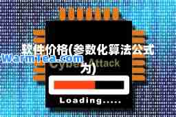 软件价格(参数化算法公式为)