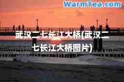 武汉二七长江大桥(武汉二七长江大桥图片)