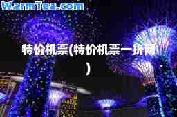 特价机票(特价机票一折网)