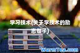 学习技术(关于学技术的励志句子)