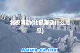北极涛动(北极涛动什么意思)