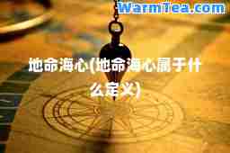 地海心(地海心属于什么定义)