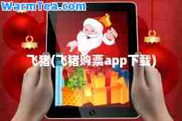 飞猪(飞猪购票app下载)
