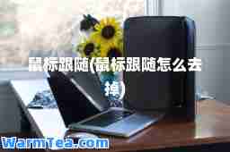 鼠标跟随(鼠标跟随怎么去掉)