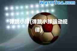 弹跳小球(弹跳小球运动规律)