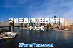 汤加王国(汤加王国属于哪个大洲)
